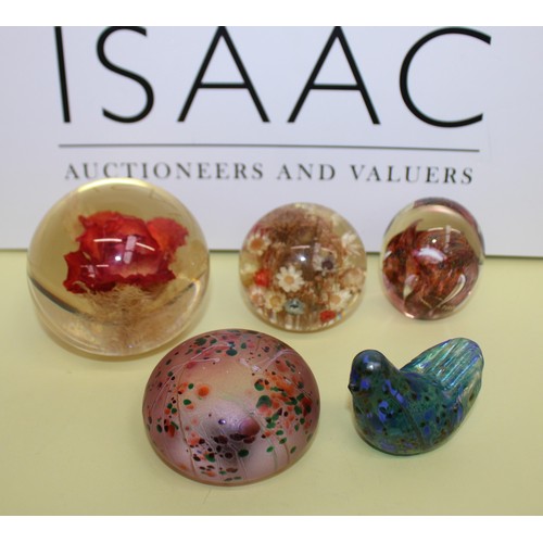 242 - Selection Of Paperweights Inc-
MILLRACE GLASS
HAFOD GRANGE
ISLE OF WIGHT GLASS
Etc
Tallest-7cm
Colle... 