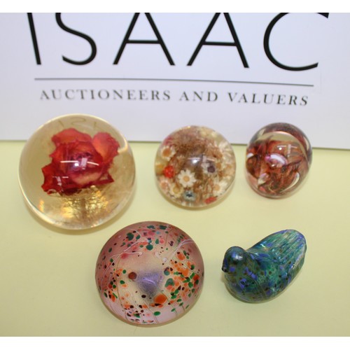242 - Selection Of Paperweights Inc-
MILLRACE GLASS
HAFOD GRANGE
ISLE OF WIGHT GLASS
Etc
Tallest-7cm
Colle... 