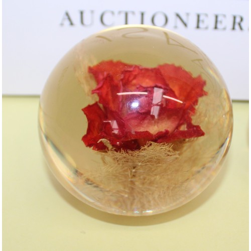 242 - Selection Of Paperweights Inc-
MILLRACE GLASS
HAFOD GRANGE
ISLE OF WIGHT GLASS
Etc
Tallest-7cm
Colle... 