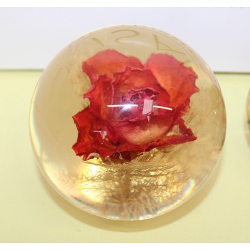 242 - Selection Of Paperweights Inc-
MILLRACE GLASS
HAFOD GRANGE
ISLE OF WIGHT GLASS
Etc
Tallest-7cm
Colle... 