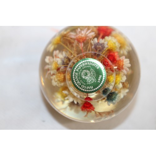 242 - Selection Of Paperweights Inc-
MILLRACE GLASS
HAFOD GRANGE
ISLE OF WIGHT GLASS
Etc
Tallest-7cm
Colle... 