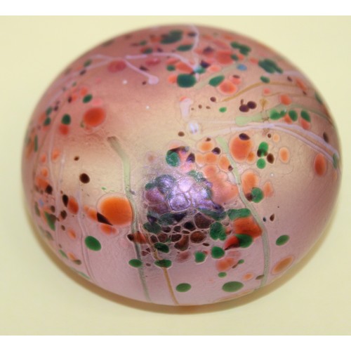 242 - Selection Of Paperweights Inc-
MILLRACE GLASS
HAFOD GRANGE
ISLE OF WIGHT GLASS
Etc
Tallest-7cm
Colle... 