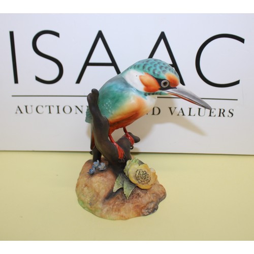 243 - Royal Crown Derby Kingfisher Height-12.5cm
COLLECTION ONLY