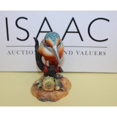 243 - Royal Crown Derby Kingfisher Height-12.5cm
COLLECTION ONLY
