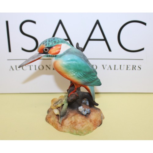 243 - Royal Crown Derby Kingfisher Height-12.5cm
COLLECTION ONLY