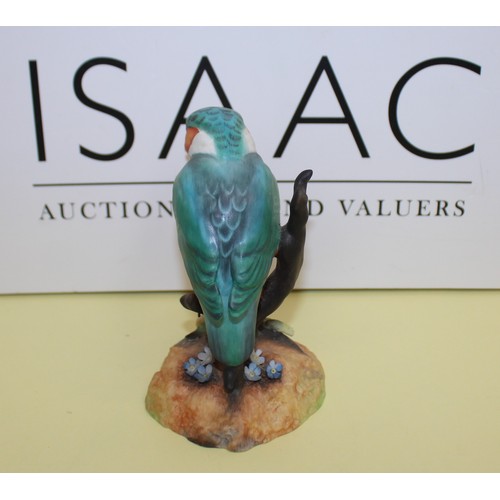 243 - Royal Crown Derby Kingfisher Height-12.5cm
COLLECTION ONLY