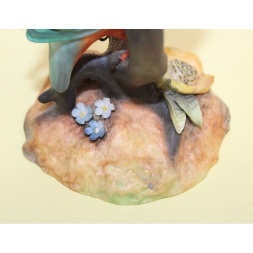 243 - Royal Crown Derby Kingfisher Height-12.5cm
COLLECTION ONLY