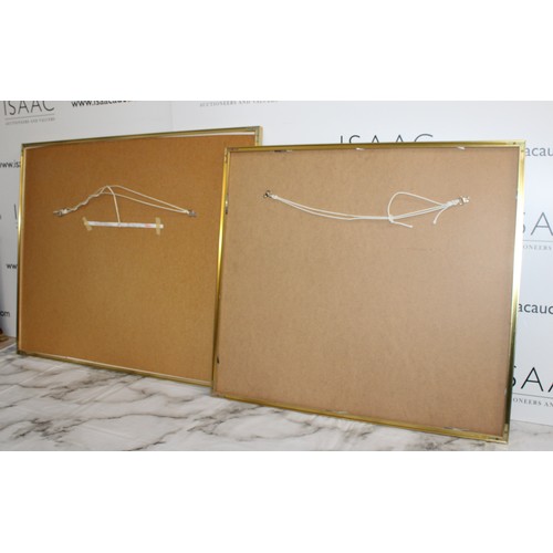 187 - 2 x Framed Pictures, 1 x Military Aviation Picture Of 