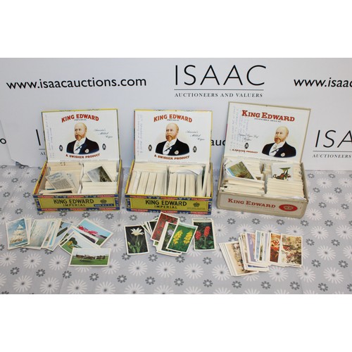 289 - A Large Quantity Of Cigarette Cards -Inside Old Cigar Boxes Doncella Napoleonic Uniforms/Golden Age ... 