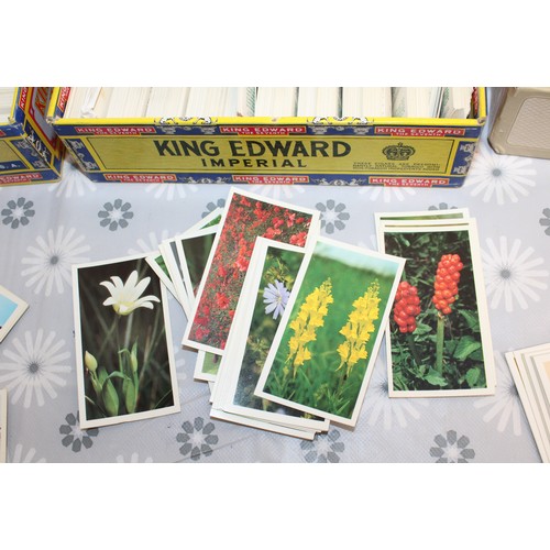 289 - A Large Quantity Of Cigarette Cards -Inside Old Cigar Boxes Doncella Napoleonic Uniforms/Golden Age ... 