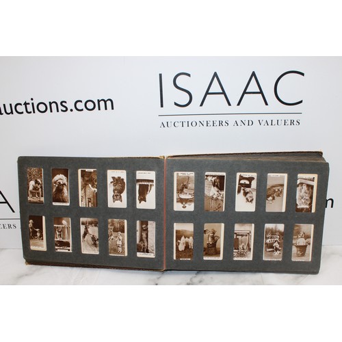 205 - Cigarette Pictures Album Containing A Quantity Of Cards Inc-