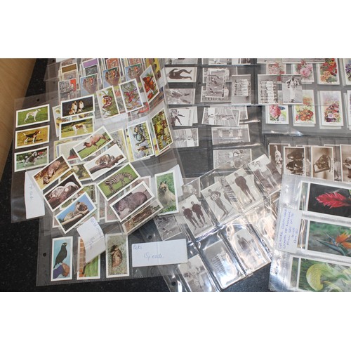 213 - A Quantity Of Cigar/Cigarette/Tea Cards Etc AF