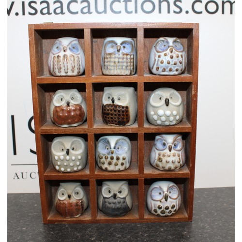 232 - Vintage Set Of 12 Ceramic Owls In A Display Case AF Case 19.5xm x15cm
COLLECTION ONLY