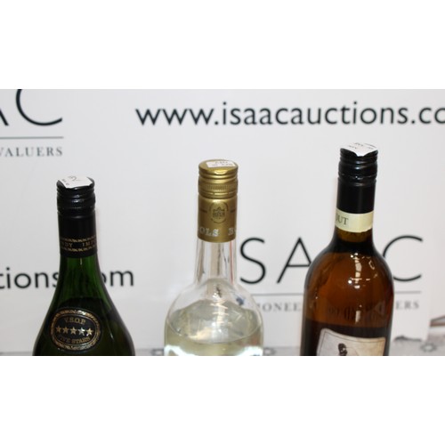 258 - Six Various Bottles, Including1 Litre Of Dry Sack Amontillado Sherry, Royal Celebration Ale, Polska ... 