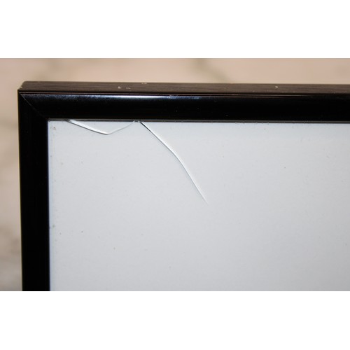 215 - Three Framed Egyptian Papyrus Art Largest 101cm x 51cm 
All As Found Crack In Glass On Largest Pleas... 