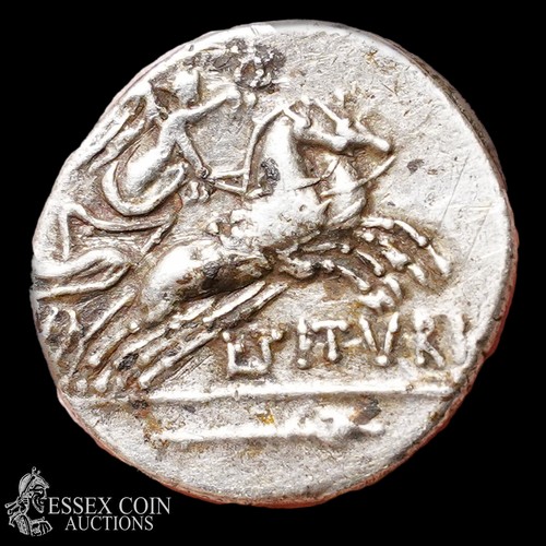 165 - Republican Silver Denarius. Silver, 3.68 grams, 17.90 mm. Obv: Bear head of King Tatius right, +SABI... 