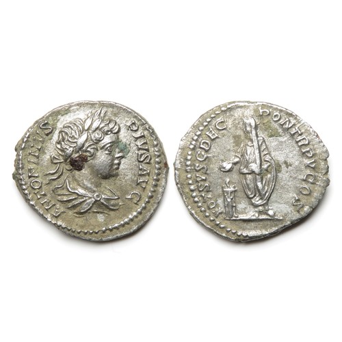 210 - Caracalla Denarius. Rome, 202 AD. Silver, 3.40g. 20 mm. Laureate and draped bust right, ANTONINVS PI... 