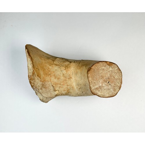 18 - Ancient Greek Amphora Handle. Circa 5th-6th century BCE. 75mm x 50mm. A large section from a terraco... 