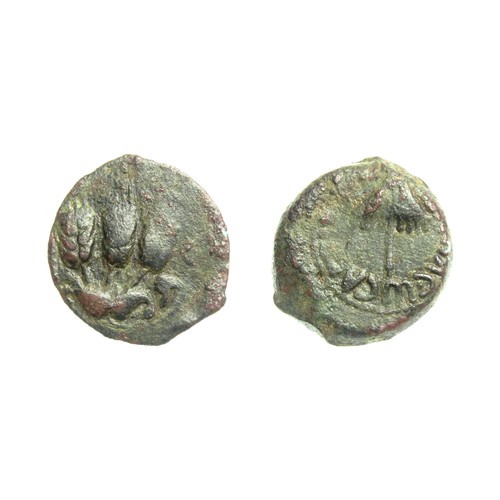 195 - JUDAEA, Herodian Kings. Agrippa I. 37-44 AD. Æ Prutah. 18mm, 2.89g. Jerusalem mint. Umbrella-like ca... 