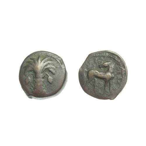 187 - North Africa, Carthage Æ Shekel(?) Carthage or Italian mint, circa 221-210 BC. Palm tree. R. Horse s... 