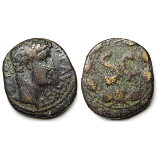 244 - Augustus Æ Semis, Antioch 27 BC-AD 14.  29mm. 15.96g. Struck circa AD 6-14. Laureate head right. R. ... 