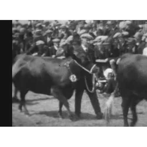 500 - Scottish interest: British Fresian Cattle Society's Championship Medal in silver by Mappin & Web... 