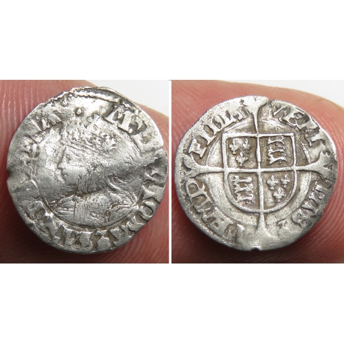 289 - Mary Penny. Circa 1553-54. Sole reign. Silver, 15mm, 0.38g. Crowned bust left, M D G ROSA SINE SPINA... 