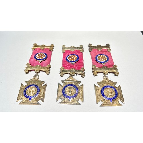 358 - Silver Gilt Medals (3). Royal Antediluvian Order of Buffaloes. Awarded to, brother William Mc Court.... 