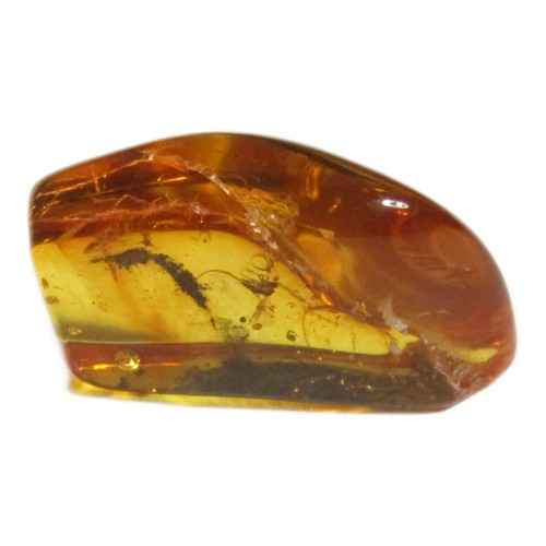 6 - Baltic Amber Fossil. Circa 20 million years old. Miocene period. A piece of fossilised tree sap with... 
