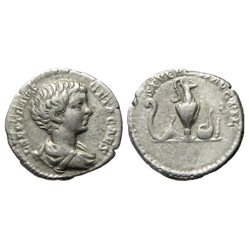 157 - Geta Denarius. Bare head and draped bust right, L SEPTIMIVS GETA CAES. R. Litius, knife, jug, simpul... 