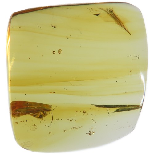 7 - Ancient Burmese fossil Amber with a bird's feather. 20mm. Also known as Burmite or Kachin amber, is ... 