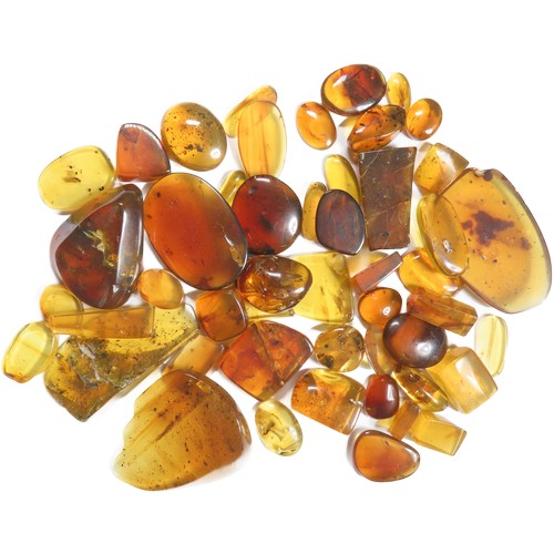 87 - Ancient Burmese fossil Amber with insects (50). 14mm-52mm. Also known as Burmite or Kachin amber, is... 