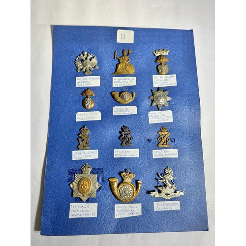 165 - Collection of Army regiment cap badges (12). To include, 1st The Queens Dragoon Guards, Royal Norfol... 