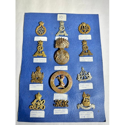 166 - Collection of Army regiment cap badges (12). To include, Army Veterinary Corps 1903-18. Royal Pionee... 