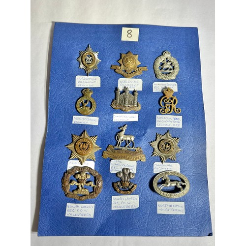 168 - Collection of Army regiment cap badges (12). To include, Worcest Reg. 1925-66, pre 1925, Monmouthshi... 