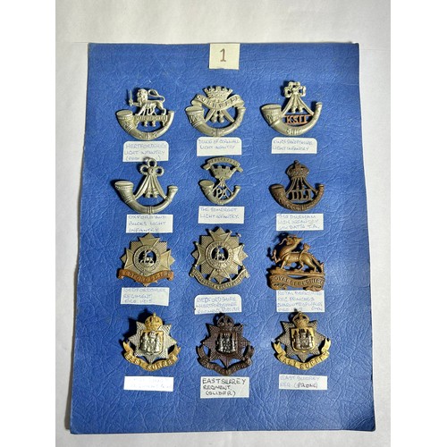 173 - Collection of Army regiment cap badges (12). To include, Herefordshire Light Infantry, Duke of Cornw... 