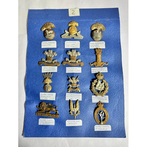 174 - Collection of Army regiment cap badges (12). To include, Royal Munster Fusilliers, Lancaster Fusilli... 