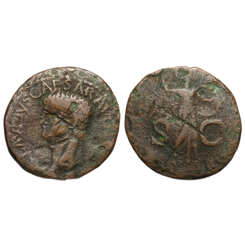 244 - Claudius as, British imitation. Copper, 29mm. 11.60g. Bare head left, CLAVDIVS CAESAR AVG. R. Minerv... 