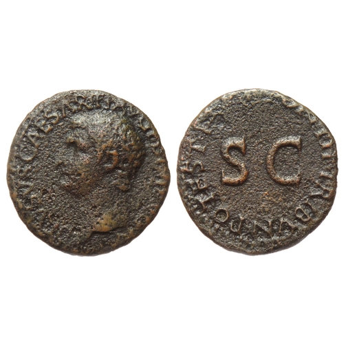 243 - Drusus As. Rome, 23 AD. Copper, 9.42g. 27mm. DRVSVS CAESAR TI AVG F DIVI AVG N, bare head left. R. P... 