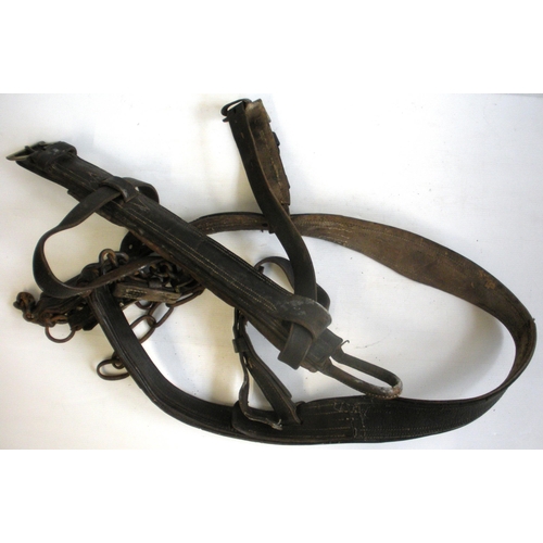 1035 - Carthorse harness, etc, unmarked. (2)