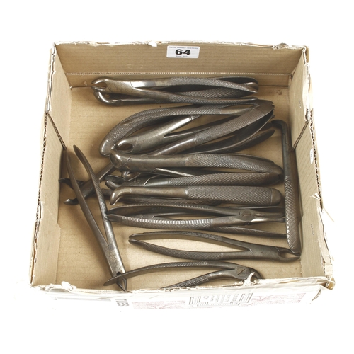 64 - 17 dental extraction pliers G+