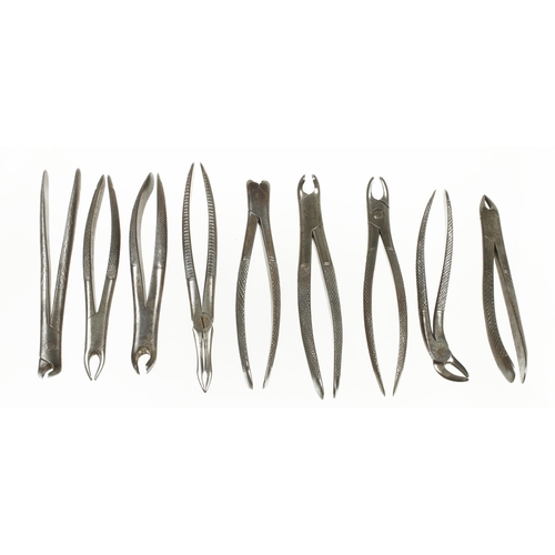 64 - 17 dental extraction pliers G+