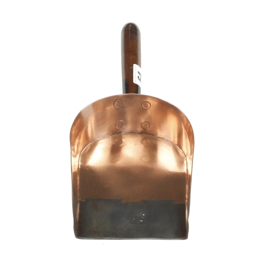 64 - A quality copper bank coin shovel with d/t steel wear plate and coromandel handle G+