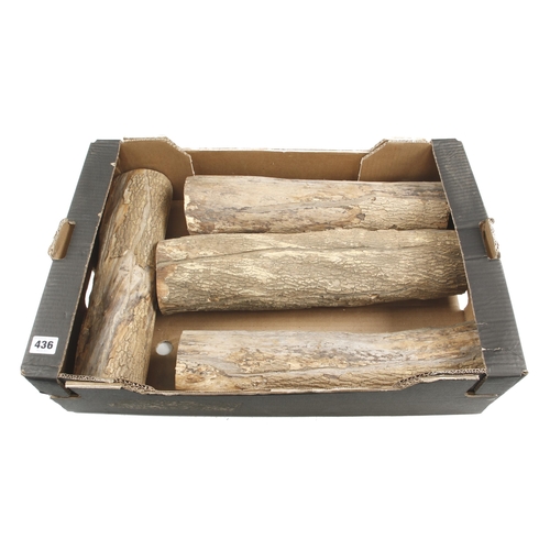 436 - Four well seasoned boxwood logs G