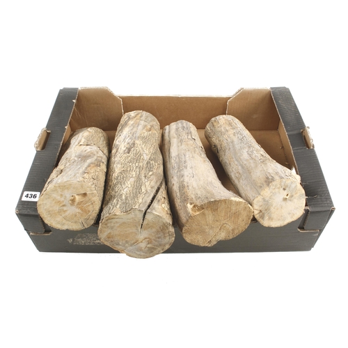 436 - Four well seasoned boxwood logs G