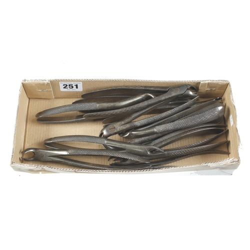 251 - 12 pairs of dentist's vintage extraction pliers G+