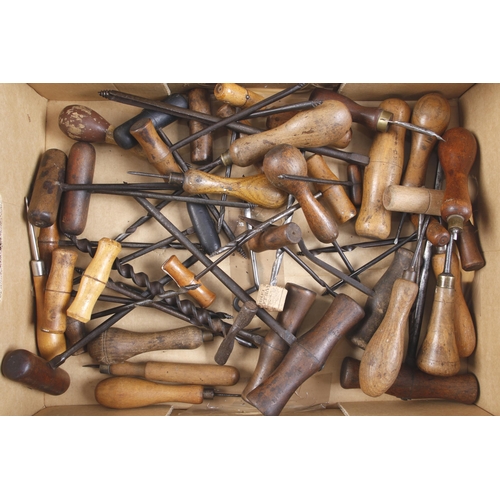 145 - 40 awls and gimlets G