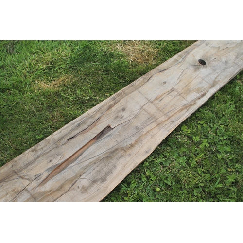 446 - A 7' length of elm 8