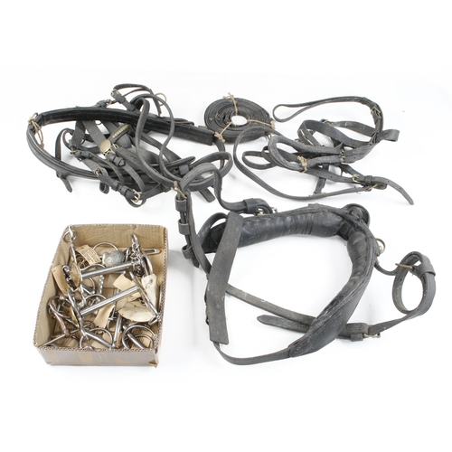 265 - A collection of 9 horse bits and various leather straps and harness G