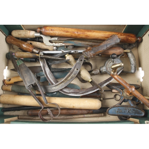 265 - Quantity of gardening tools and kitchenalia G